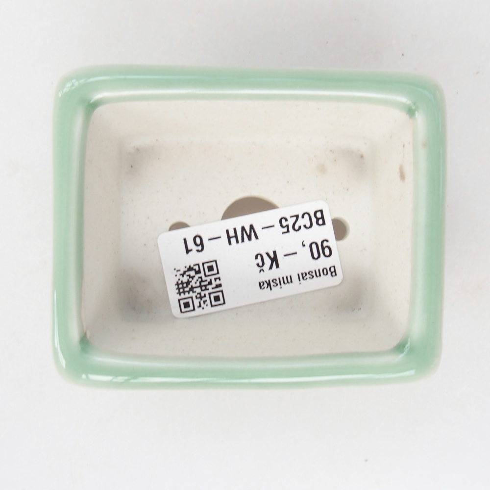 Mini bonsai tál 8 x 6,5 x 3 cm, zöld