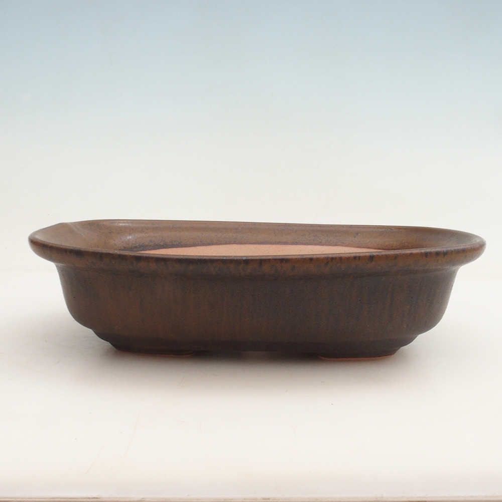 Bonsai tál + csészealj H25 - 23 x 17 x 5,5 cm. - barna