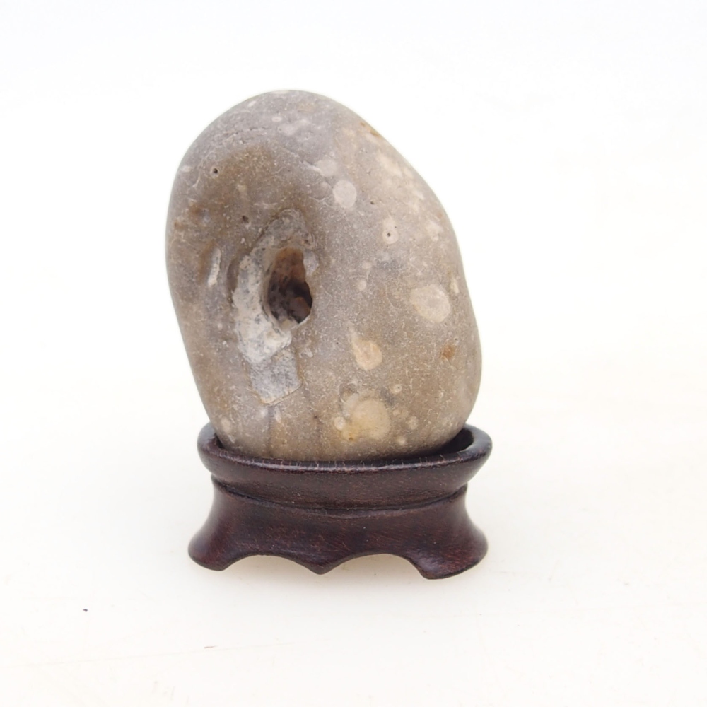 Suiseki - Kő DAI-val (fa alapon)