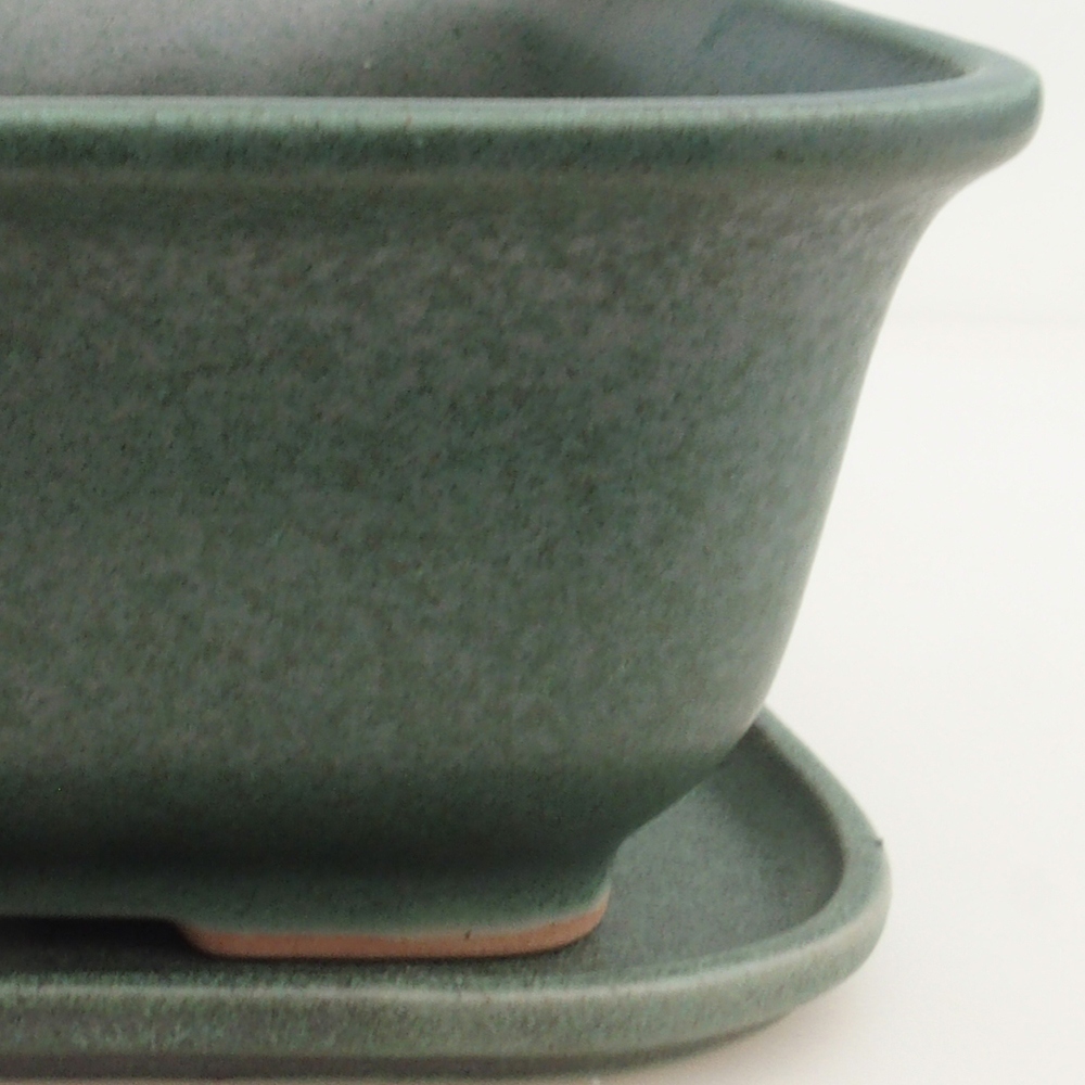 Bonsai tál + csészealj H36 - 17 x 15 x 7,5 cm. - zöld
