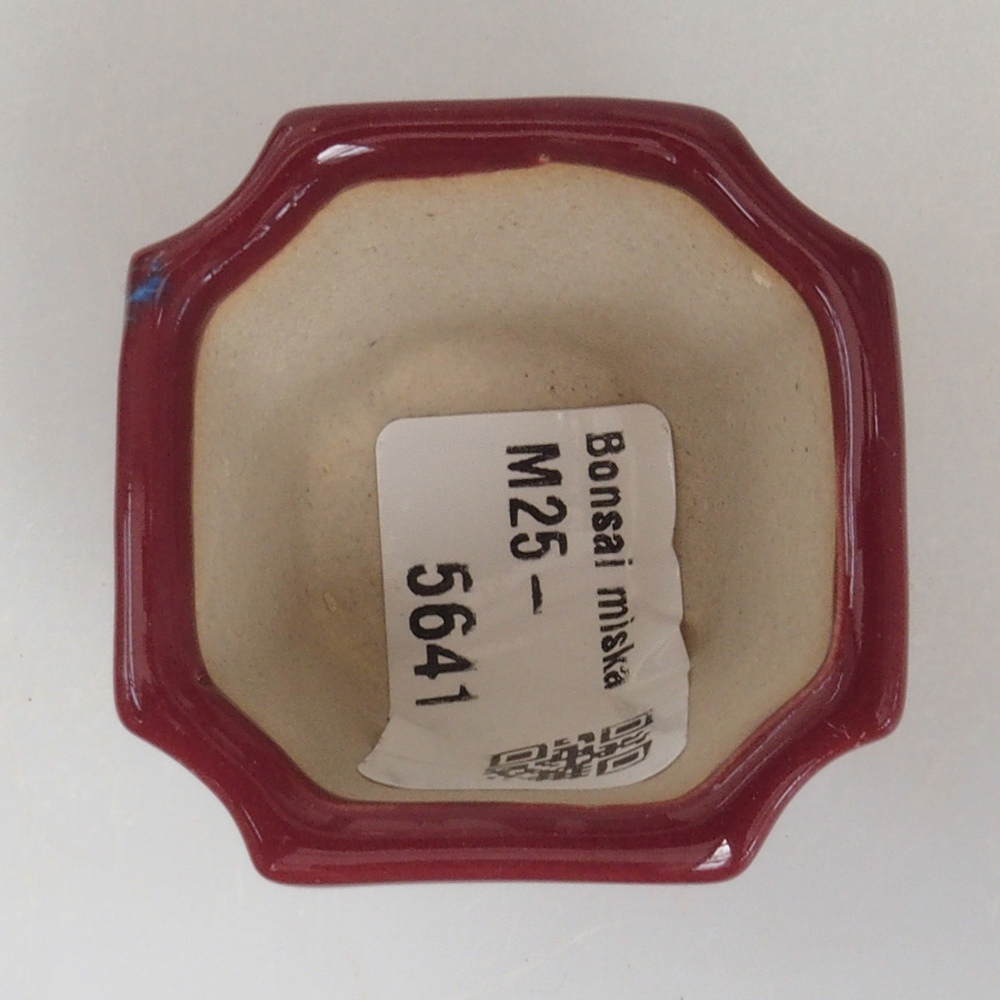 Mini bonsai tál 4 x 4 x 4 cm, bordó színű