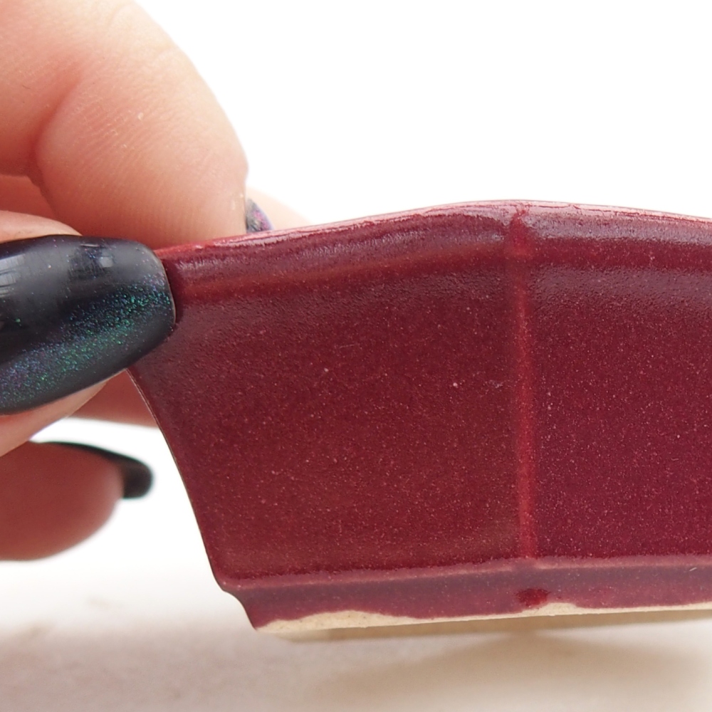 Mini bonsai tál 6 x 5,5 x 2,5 cm, bordó színű