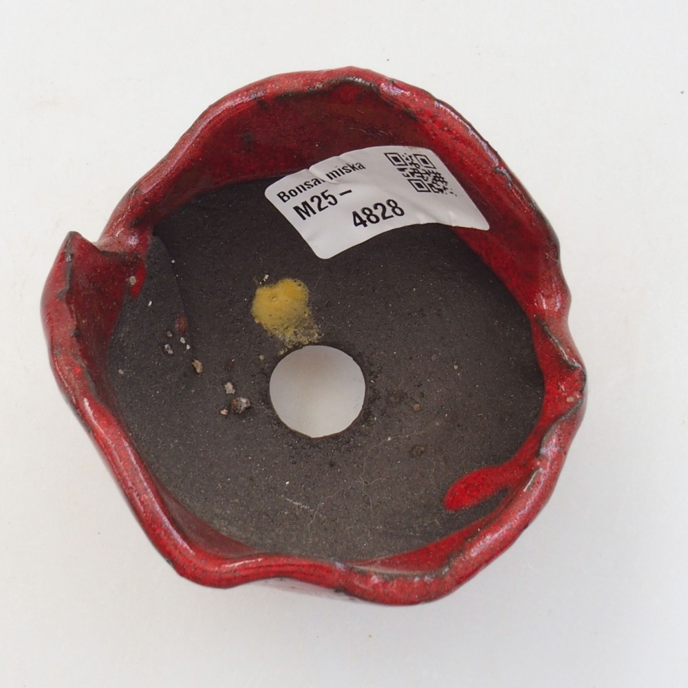 Kerámia kagyló 8 x 7 x 6 cm , piros színű