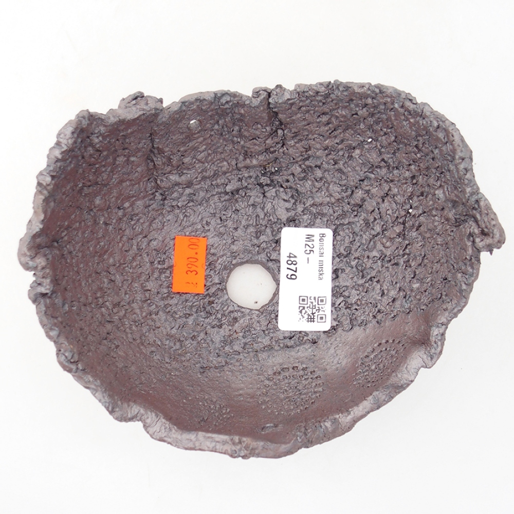 Kerámia kagyló 14 x 12,5 x 8 cm , metál színű