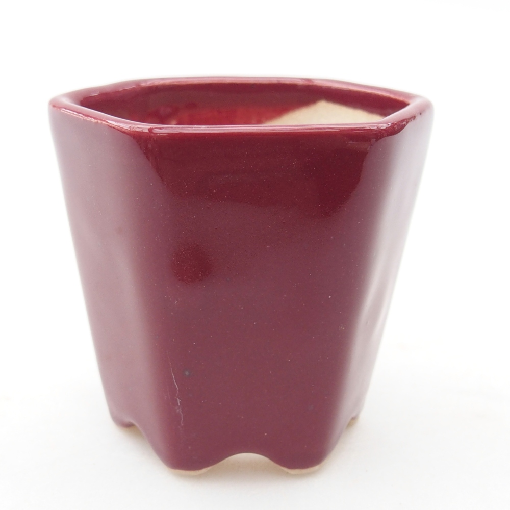 Mini bonsai tál 5,5 x 5 x 5 cm, bordó színben