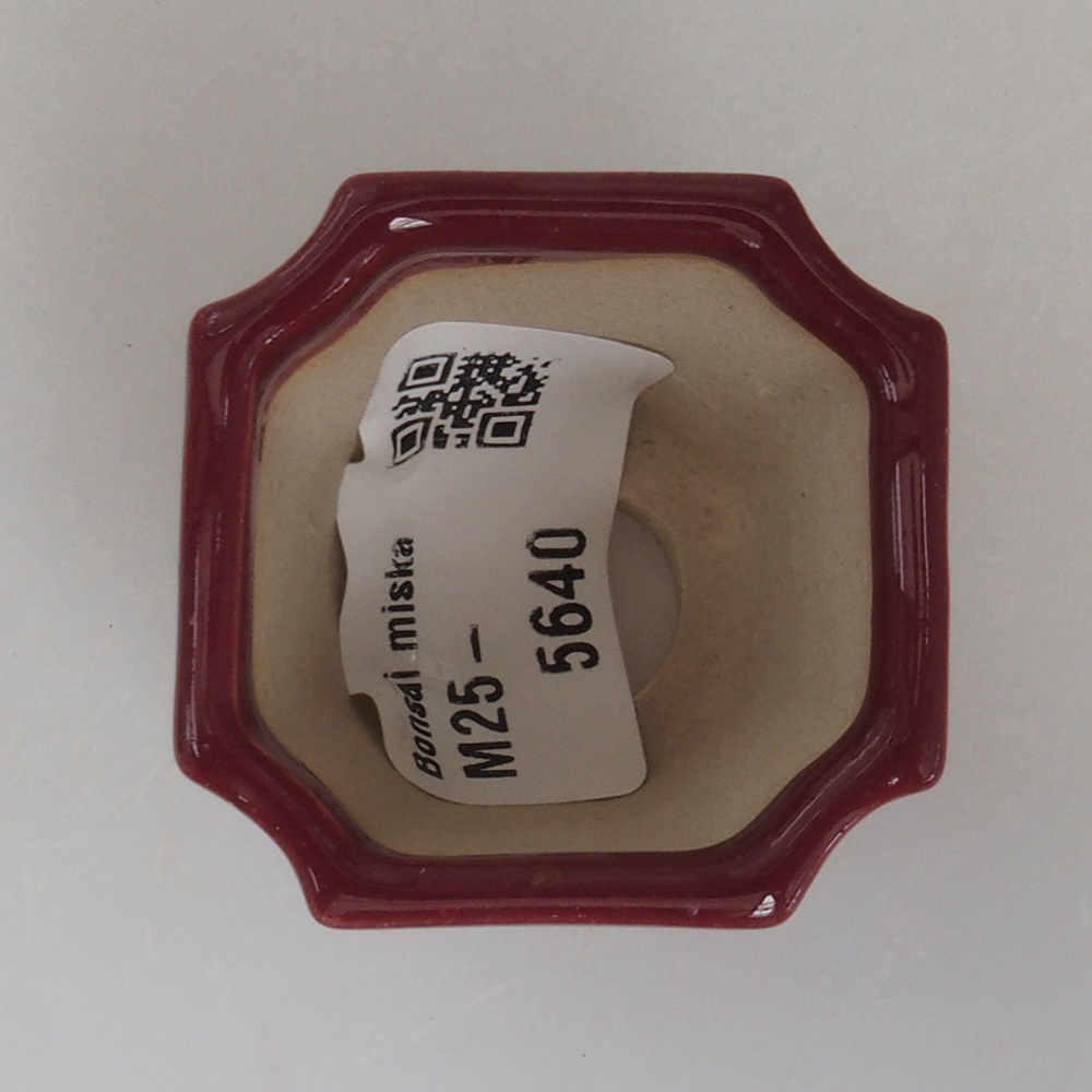 Mini bonsai tál 4 x 4 x 4 cm, bordó színű