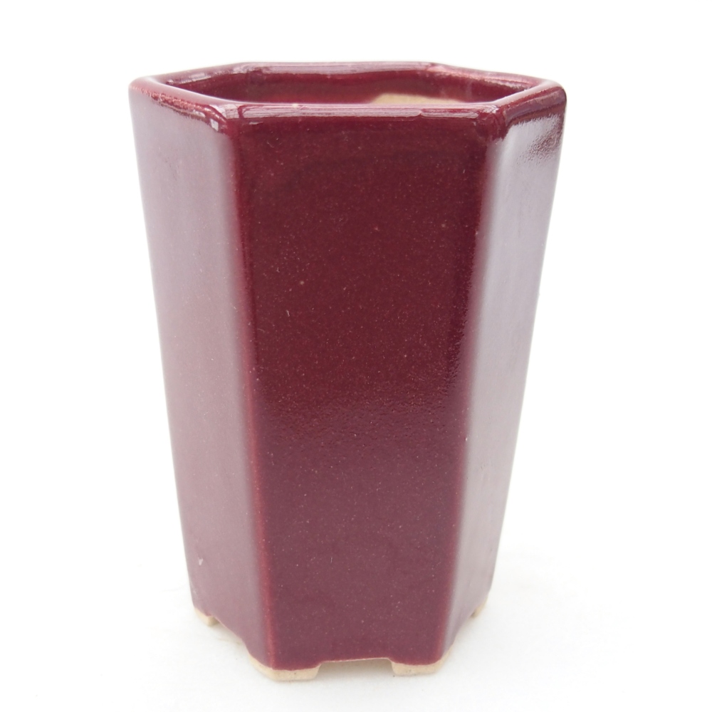 Mini bonsai tál 5 x 4,5 x 6,5 cm, bordó színben