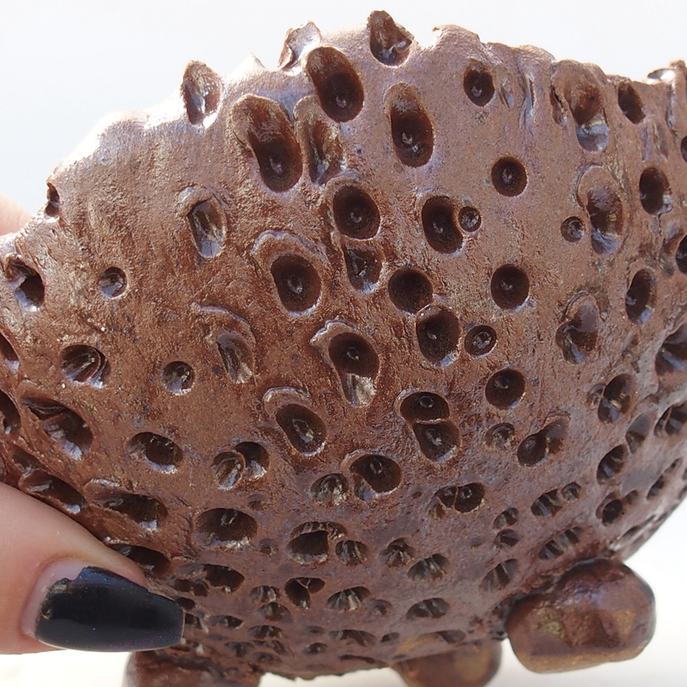 Kerámia kagyló 12,5 x 12,5 x 9 cm , színe barna