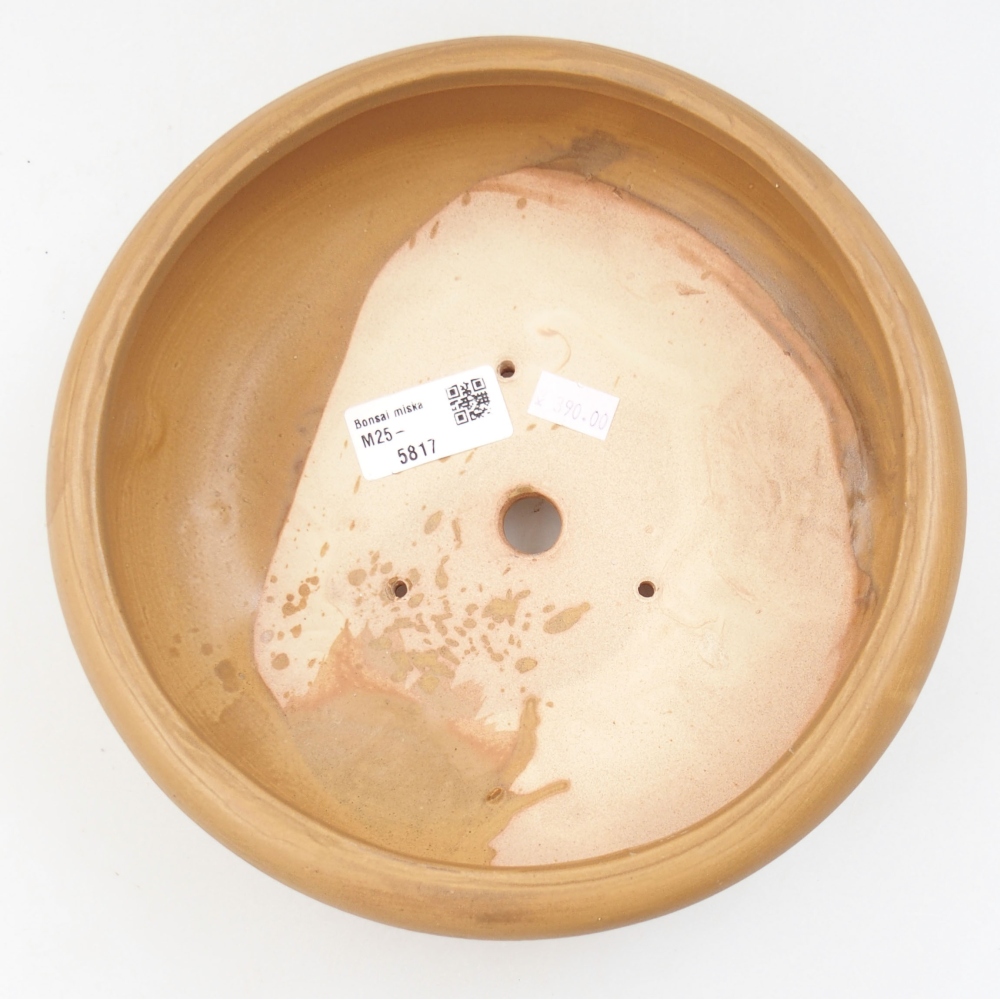 kerámia bonsai tál 21 x 21 x 7,5 cm, bézs színben