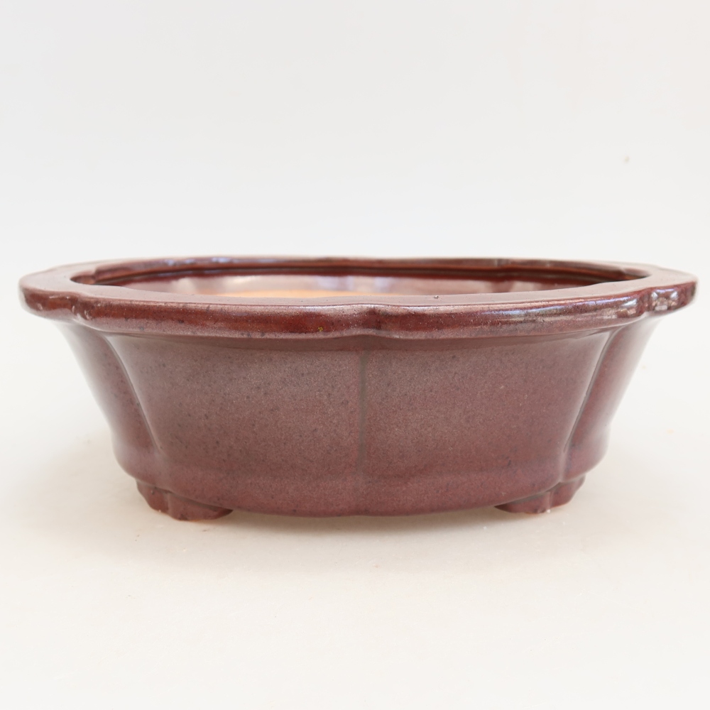 kerámia bonsai tál 26 x 26 x 8 cm, bordó