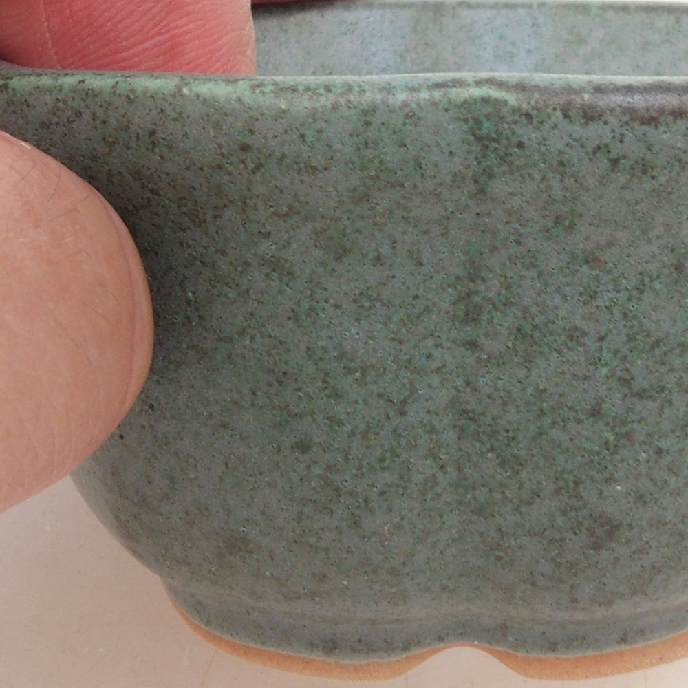 Bonsai tál H95 - 7,5 x 7,5 x 4 cm - zöld