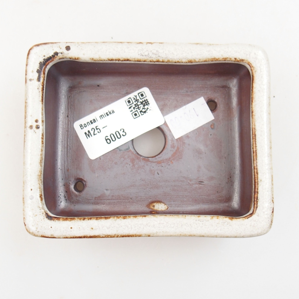 kerámia bonsai tál 22 x 17 x 5 cm, zöld