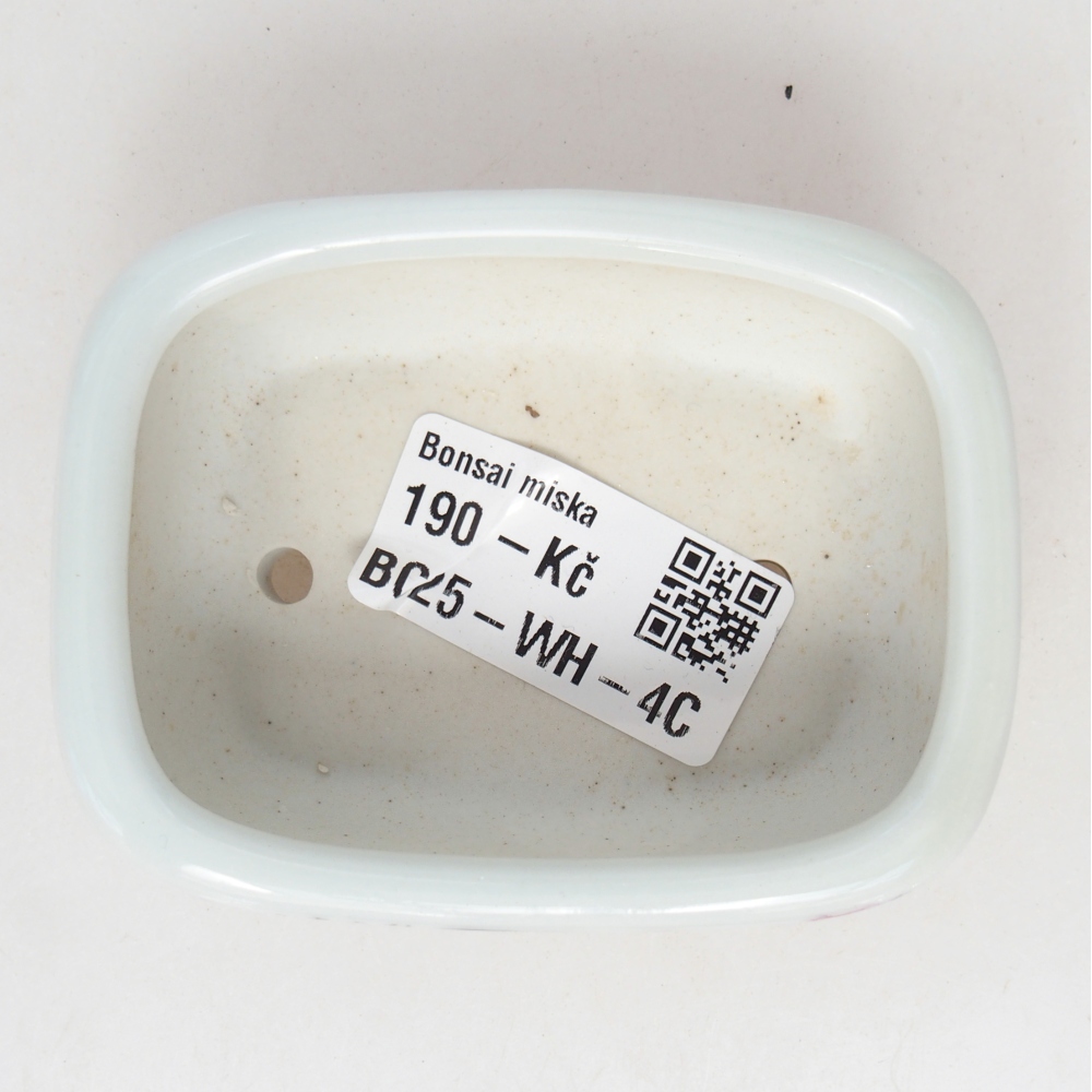Mini bonsai tál 8 x 6 x 3 cm, fehér