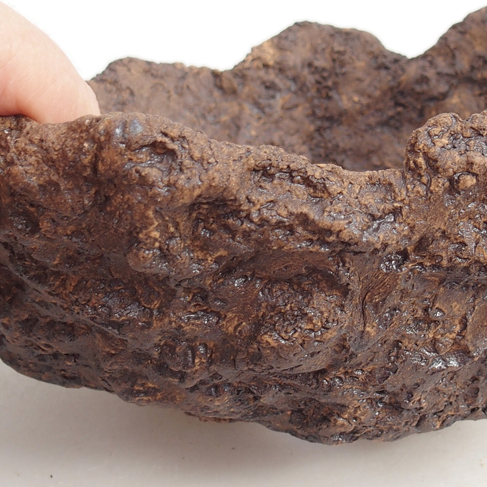 Kerámia kagyló 19 x 15 x 14 cm , barna színű