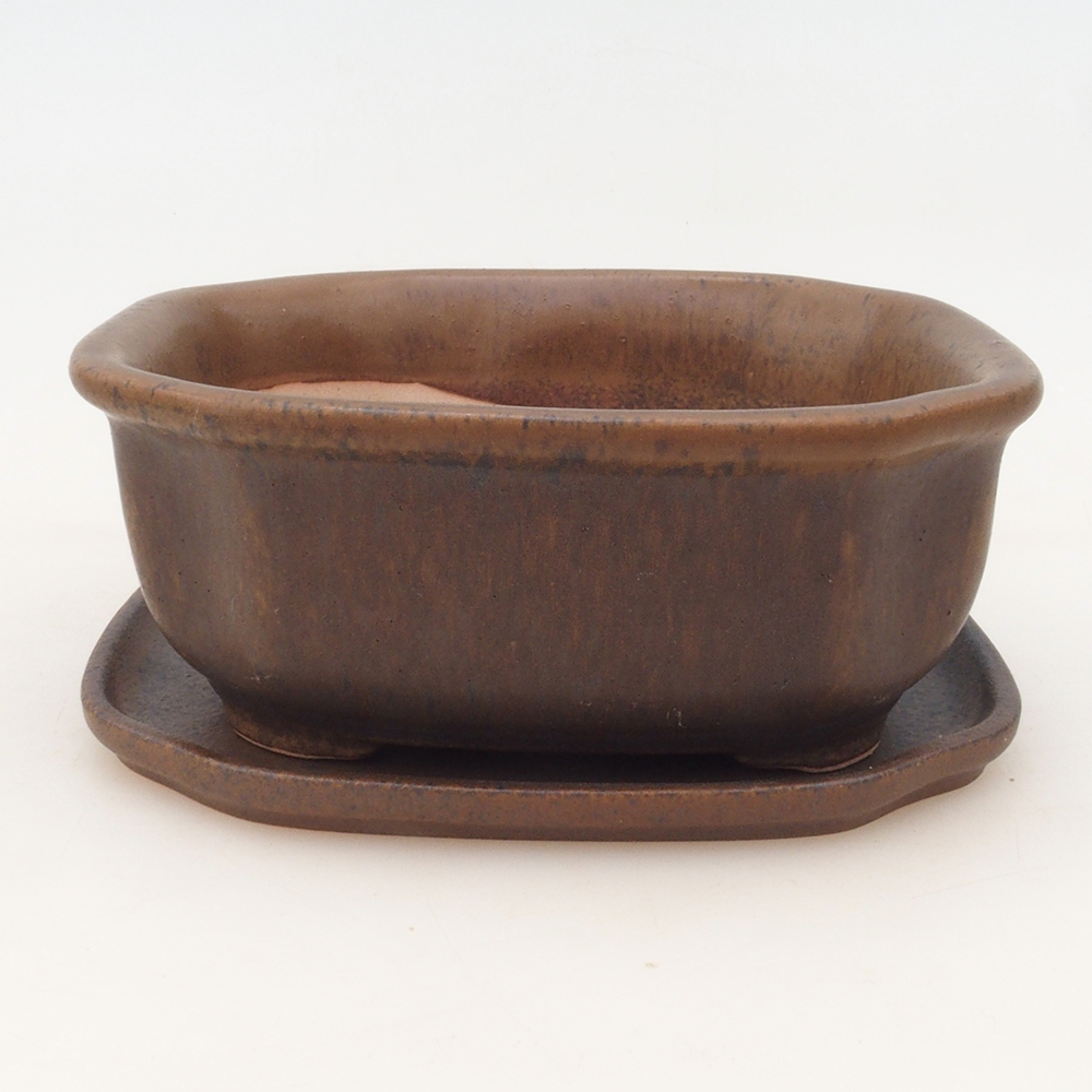 Bonsai tál + csészealj H31 - barna