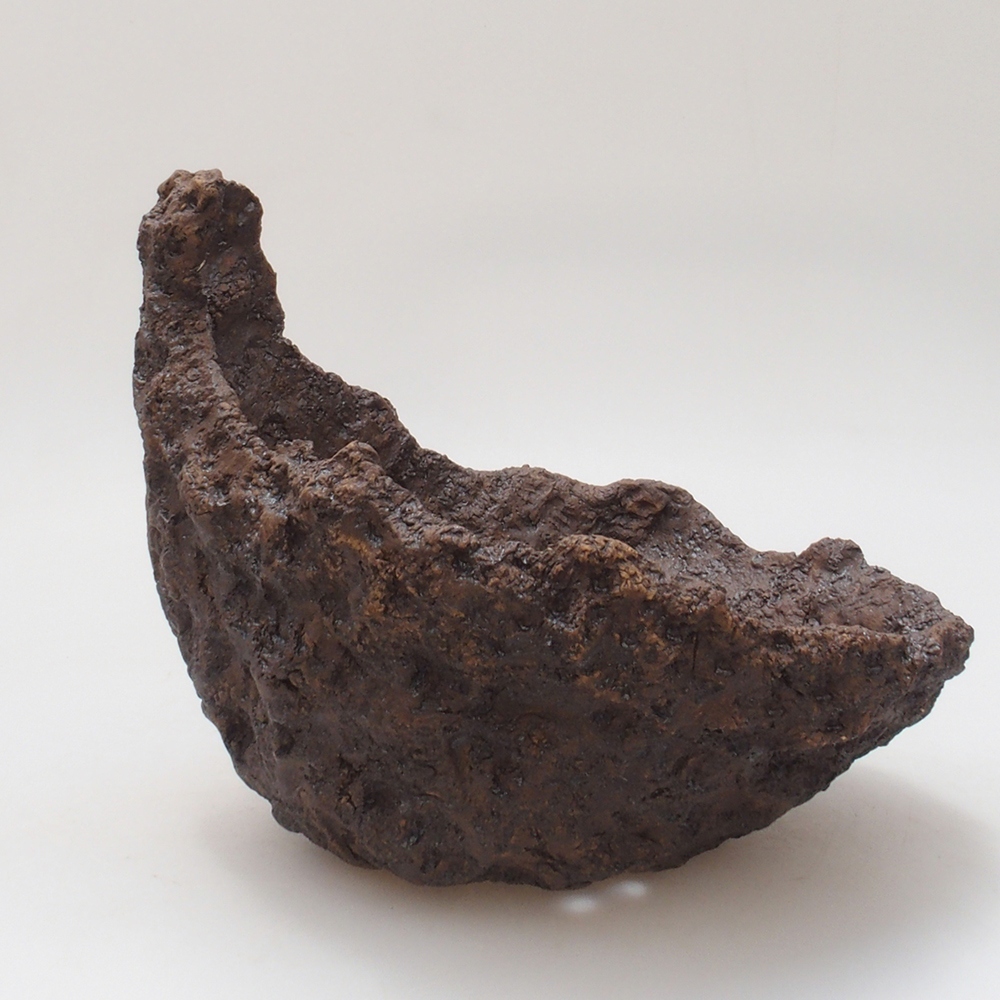 Kerámia kagyló 18 x 17 x 17,5 cm , színe barna