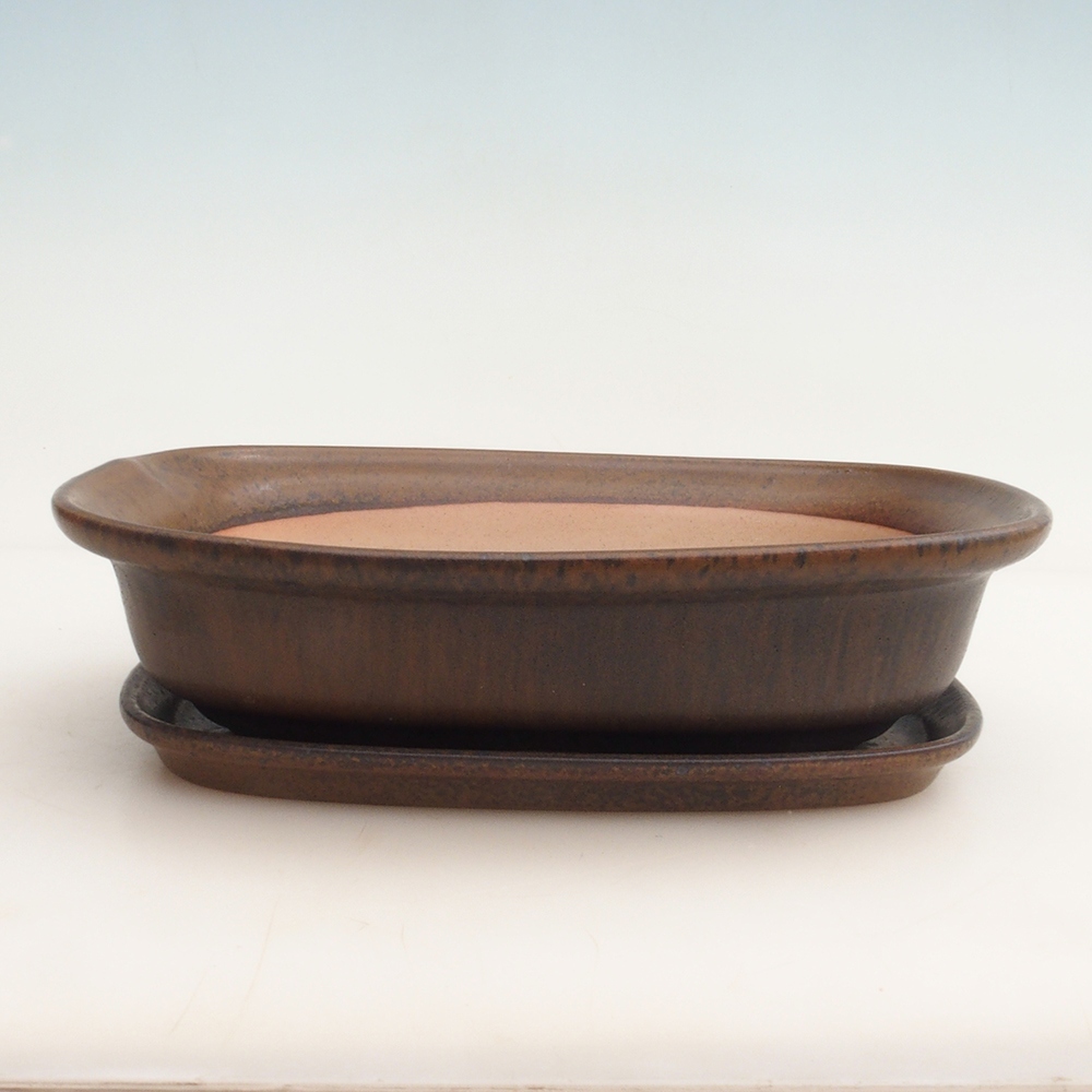 Bonsai tál + csészealj H25 - 23 x 17 x 5,5 cm. - barna