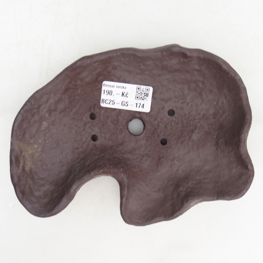 Kerámia kagyló 19 x 13,5 x 3,5 cm , színe barna