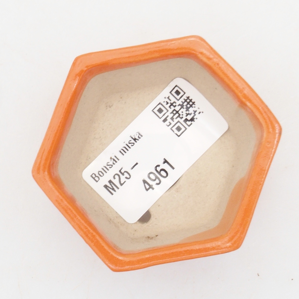 Mini bonsai tál 6 x 5 x 2,5 cm, narancssárga