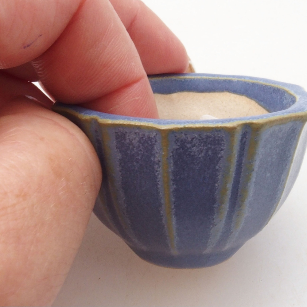 Mini bonsai tál 5 x 5 x 3 cm, kék