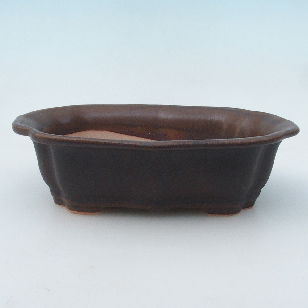 Bonsai tál H51 - 18 x 14 x 5 cm - barna