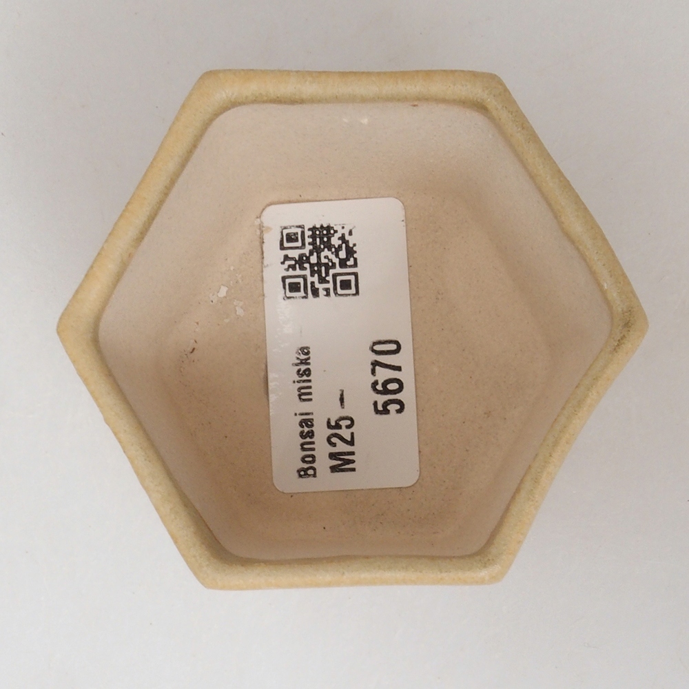 Mini bonsai tál 7 x 5,5 x 4,5 cm, barna
