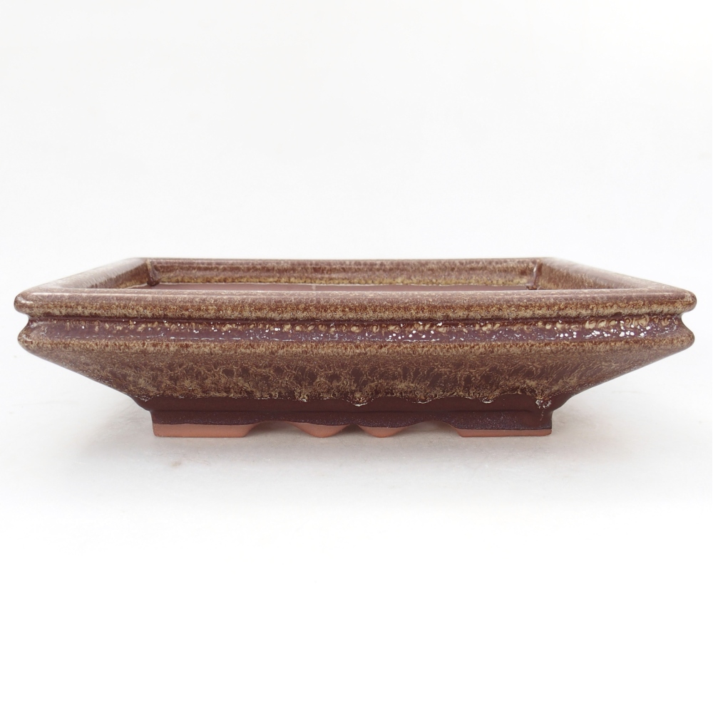 Tál 26 x 21 x 6,5 cm kék-zöld