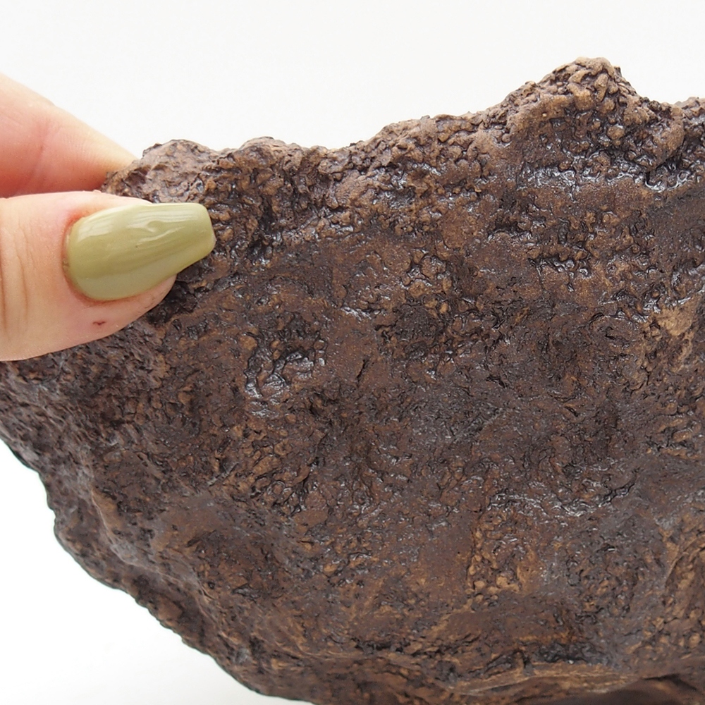 Kerámia kagyló 18 x 17,5 x 16 cm , barna színű