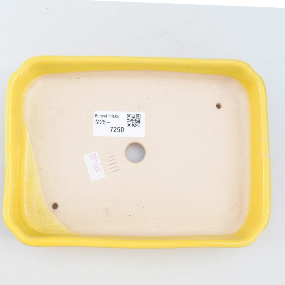 Kerámia bonsai tál 18,5 x 13,5 x 3,5 cm, sárga