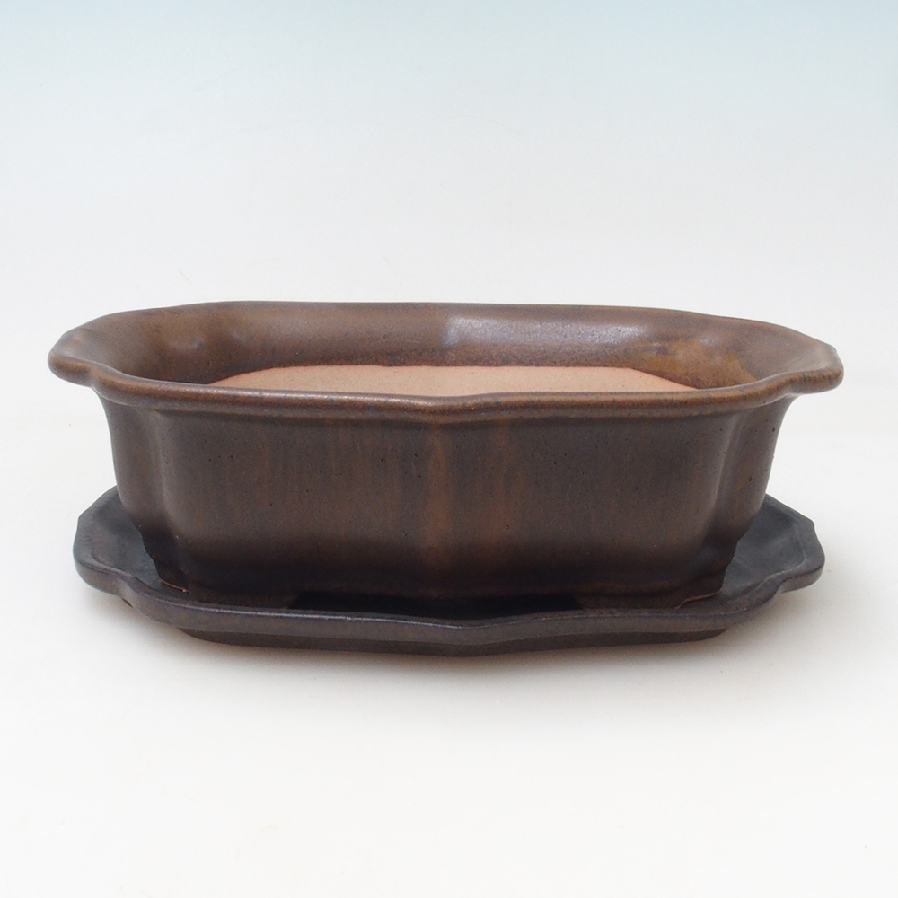 Bonsai tál + csészealj H51 - 18x14x5 cm