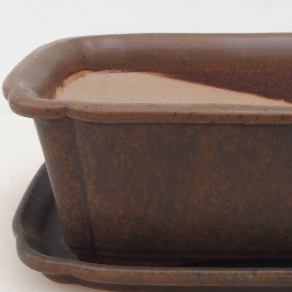 Bonsai tál + csészealj H50 - barna