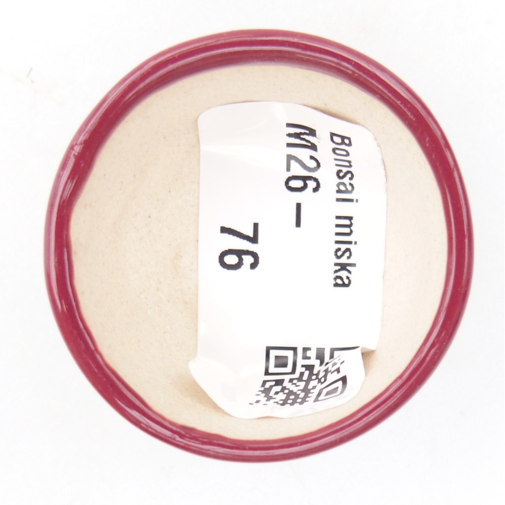 Mini bonsai tál 4 x 4 x 2 cm, bordó színben