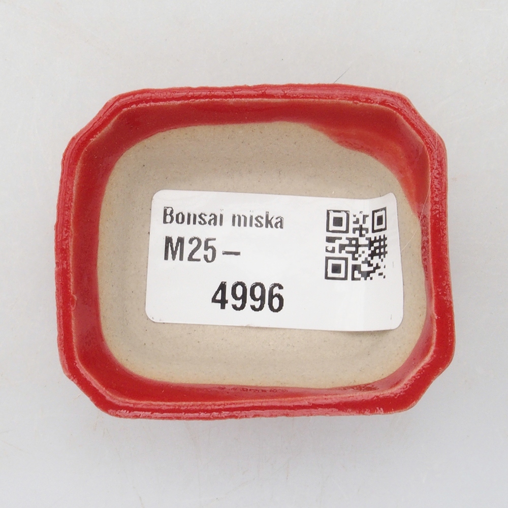 Mini bonsai tál 5 x 4,5 x 2 cm, piros színben