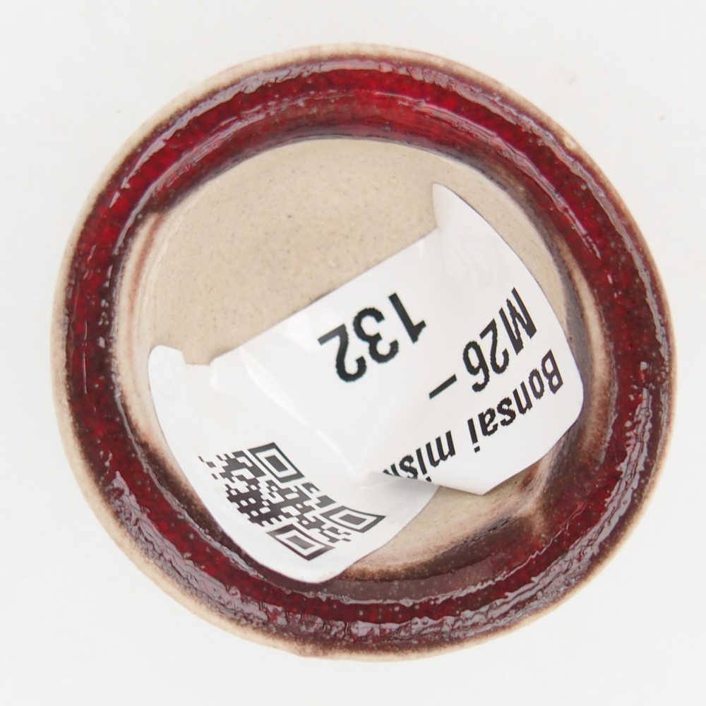 Mini bonsai tál 3,5 x 3,5 x 2,5 cm, piros színben