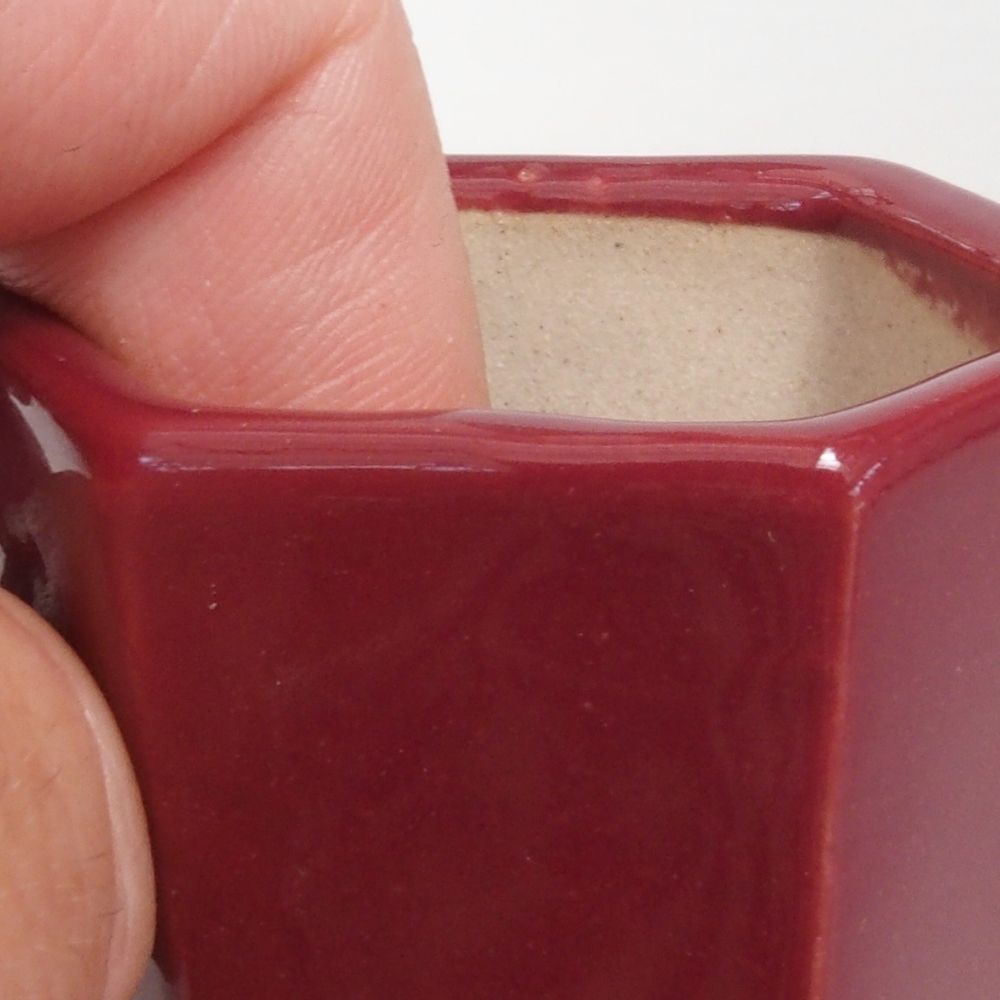 Mini bonsai tál 4,5 x 4 x 6 cm, bordó színben