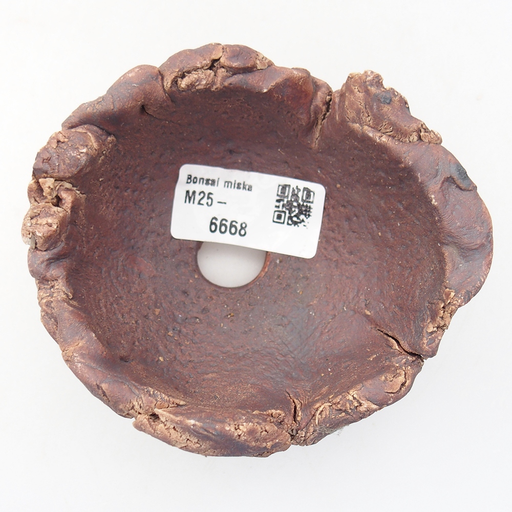 Kerámia kagyló 10 x 9 x 5,5 cm , barna színű