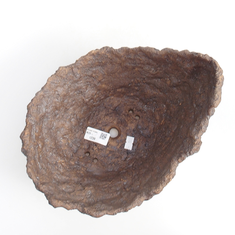 Kerámia kagyló 19 x 15 x 14 cm , barna színű