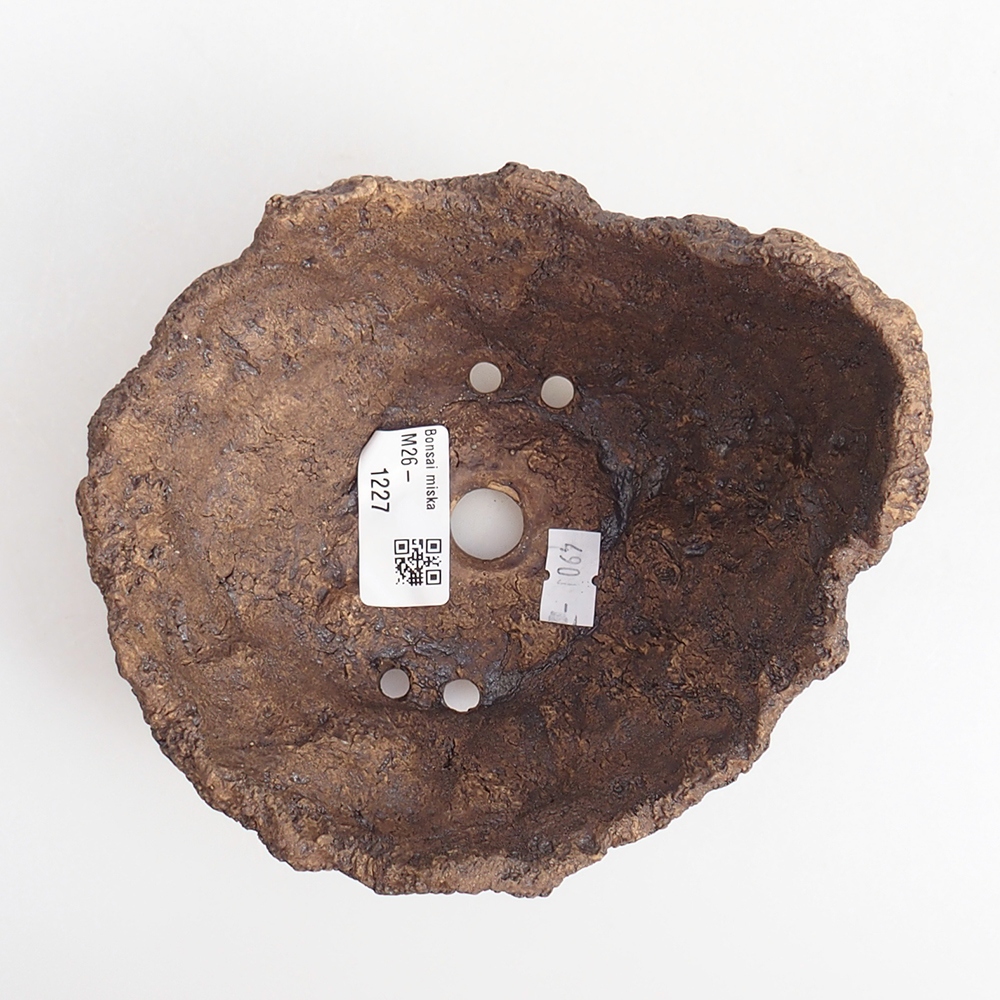 Kerámia kagyló 14 x 13 x 12 cm , színe barna