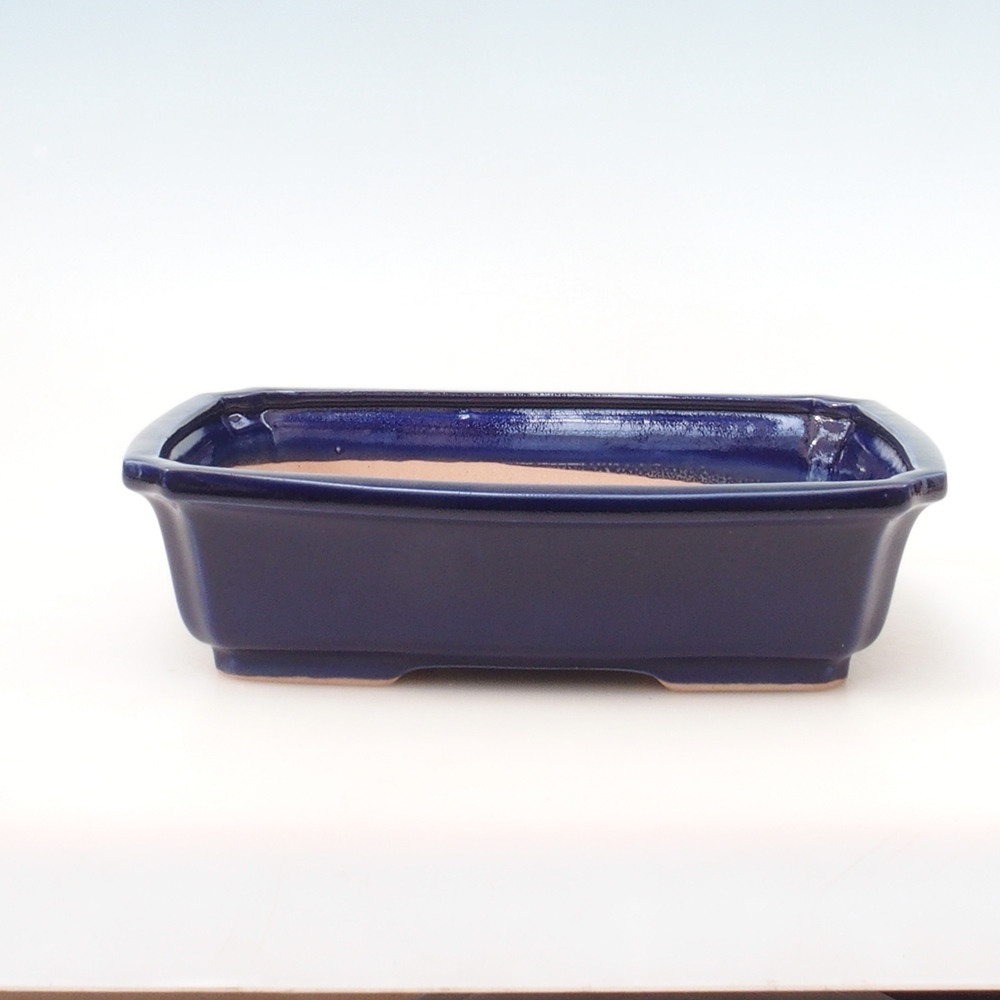 Bonsai tál H07 - 30 x 20,5 x 8 cm. - kék