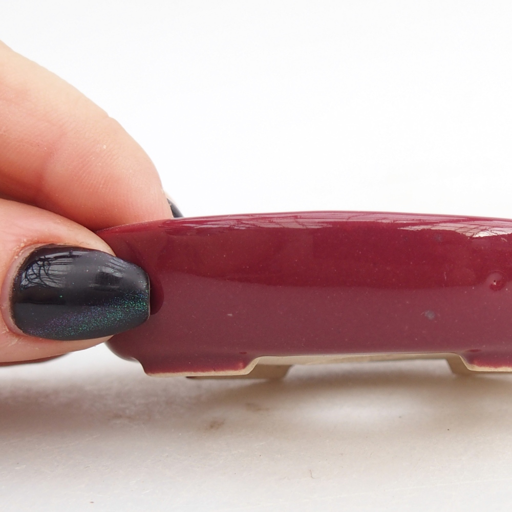 Mini bonsai tál 8 x 6 x 2 cm, bordó színű