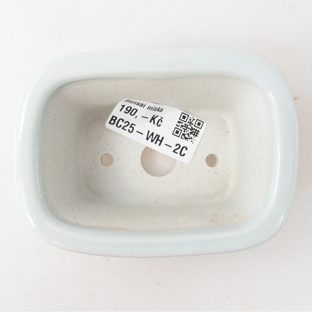 Mini bonsai tál 10 x 7,5 x 4 cm, fehér színben