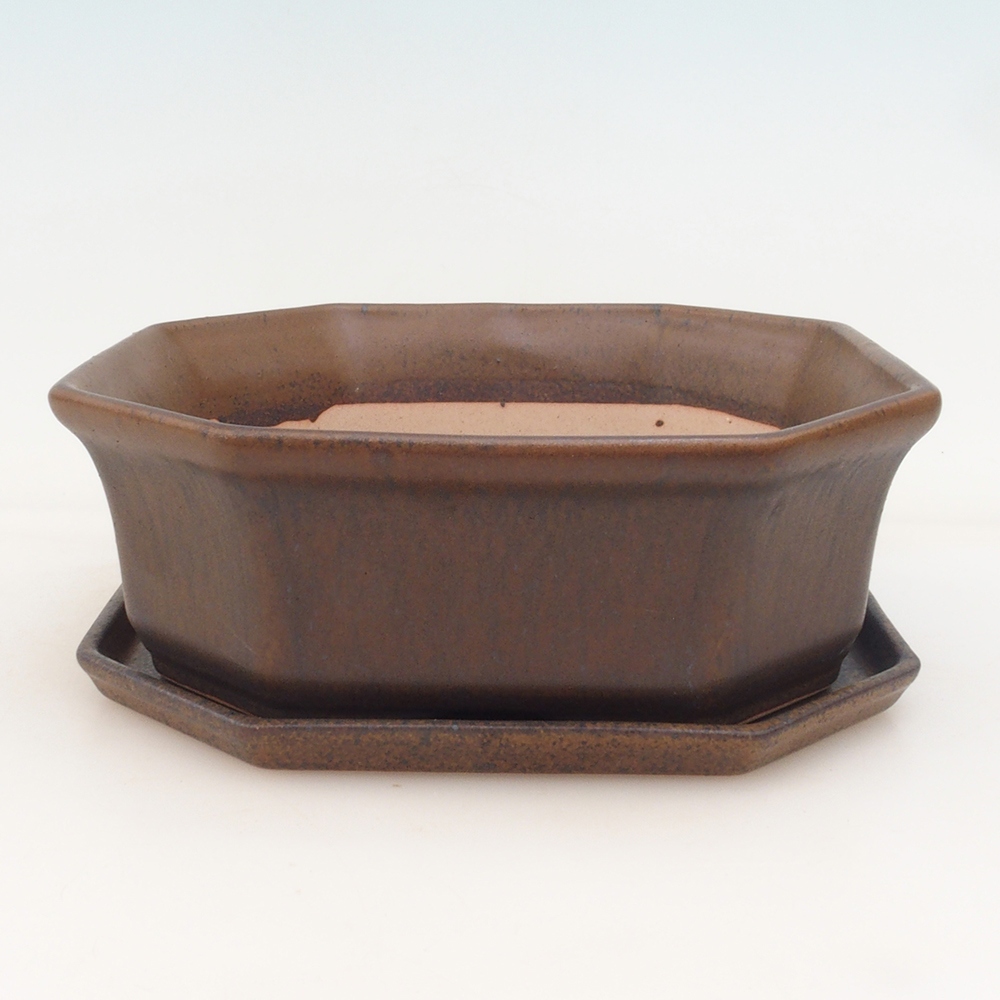 Bonsai tál + csészealj H14 - barna