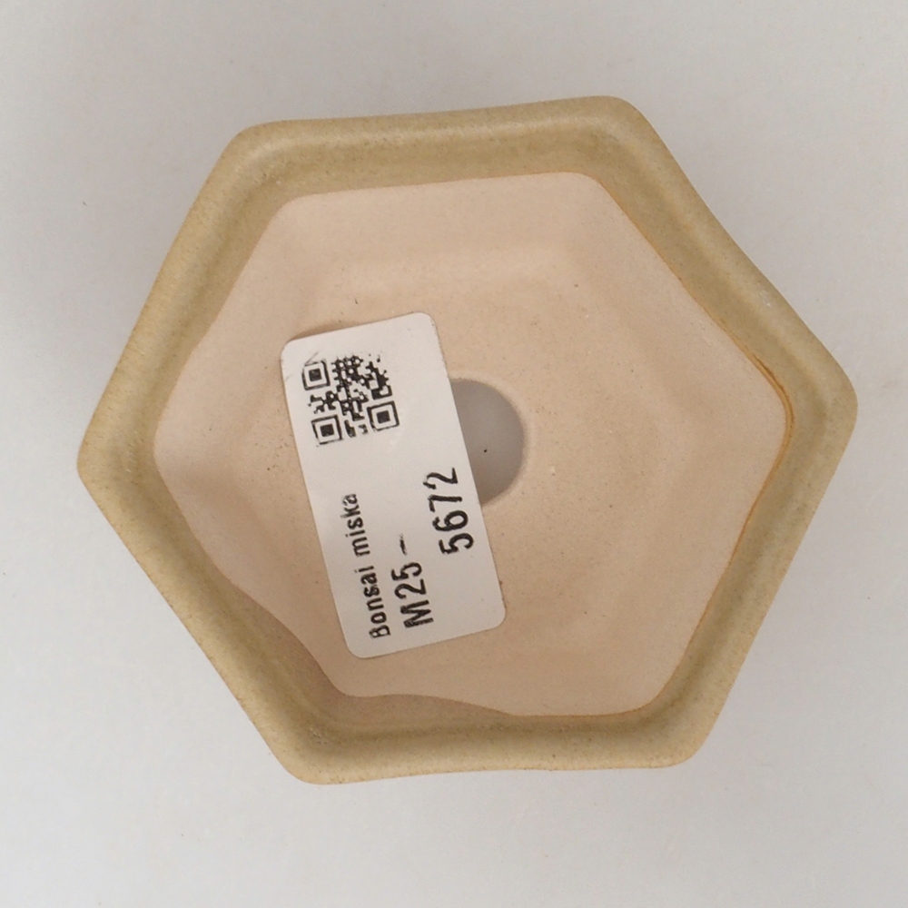 Mini bonsai tál 8 x 7 x 4 cm, barna