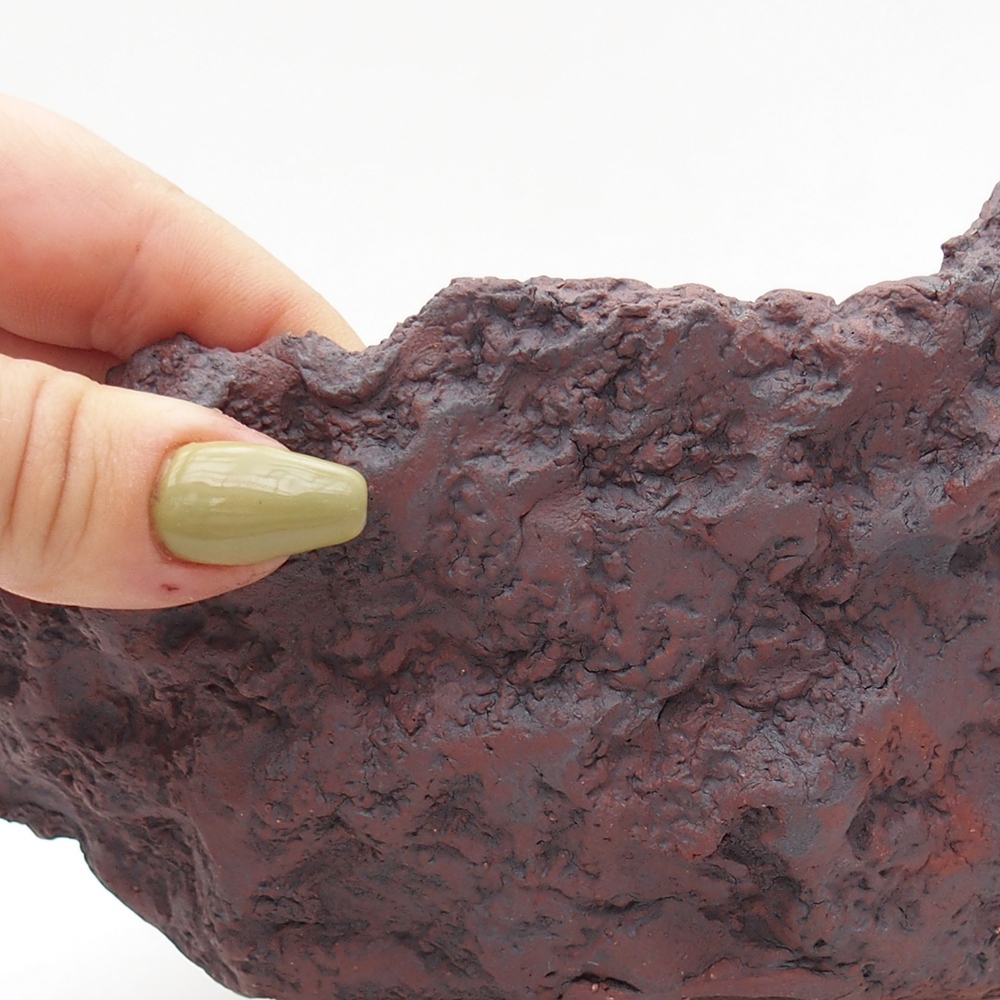 Kerámia kagyló 19 x 17 x 15 cm , barna színű