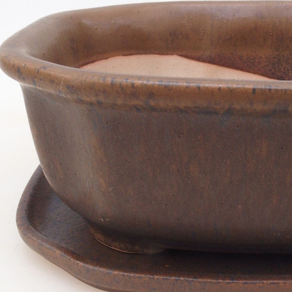 Bonsai tál + csészealj H31 - barna