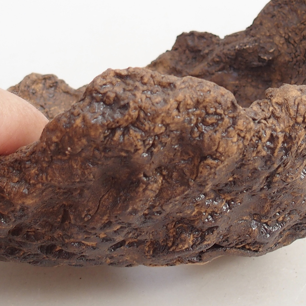 Kerámia kagyló 14,5 x 13 x 13 cm , színe barna