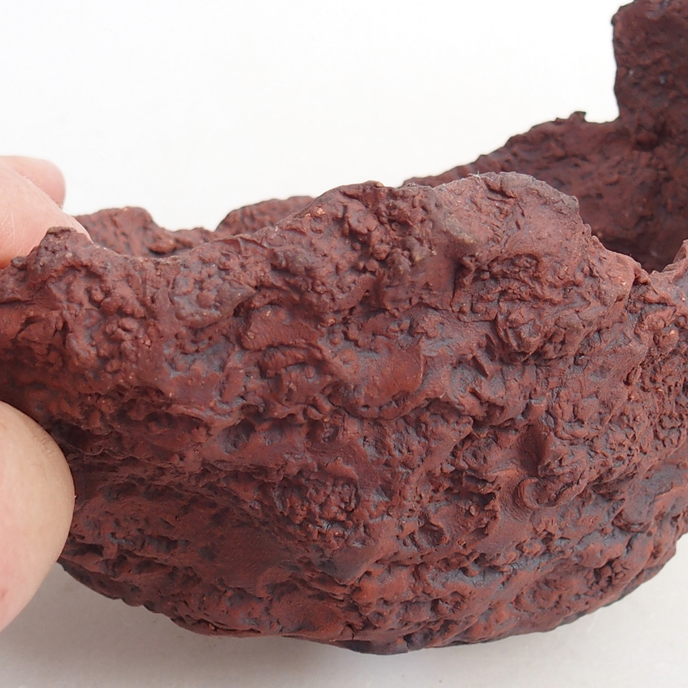 Kerámia kagyló 13 x 11,5 x 10,5 cm , színe barna