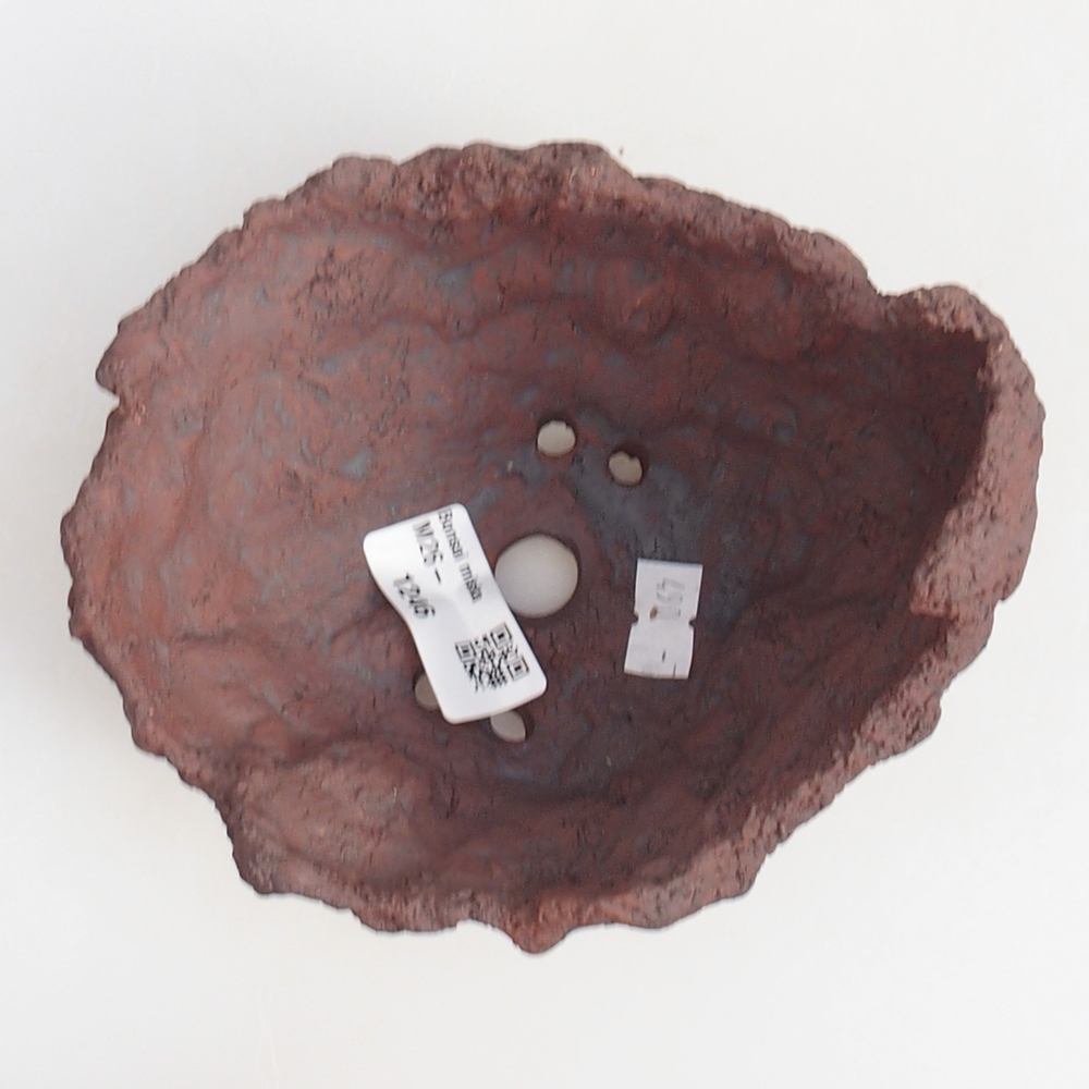 Kerámia kagyló 13 x 11 x 12 cm , színe barna