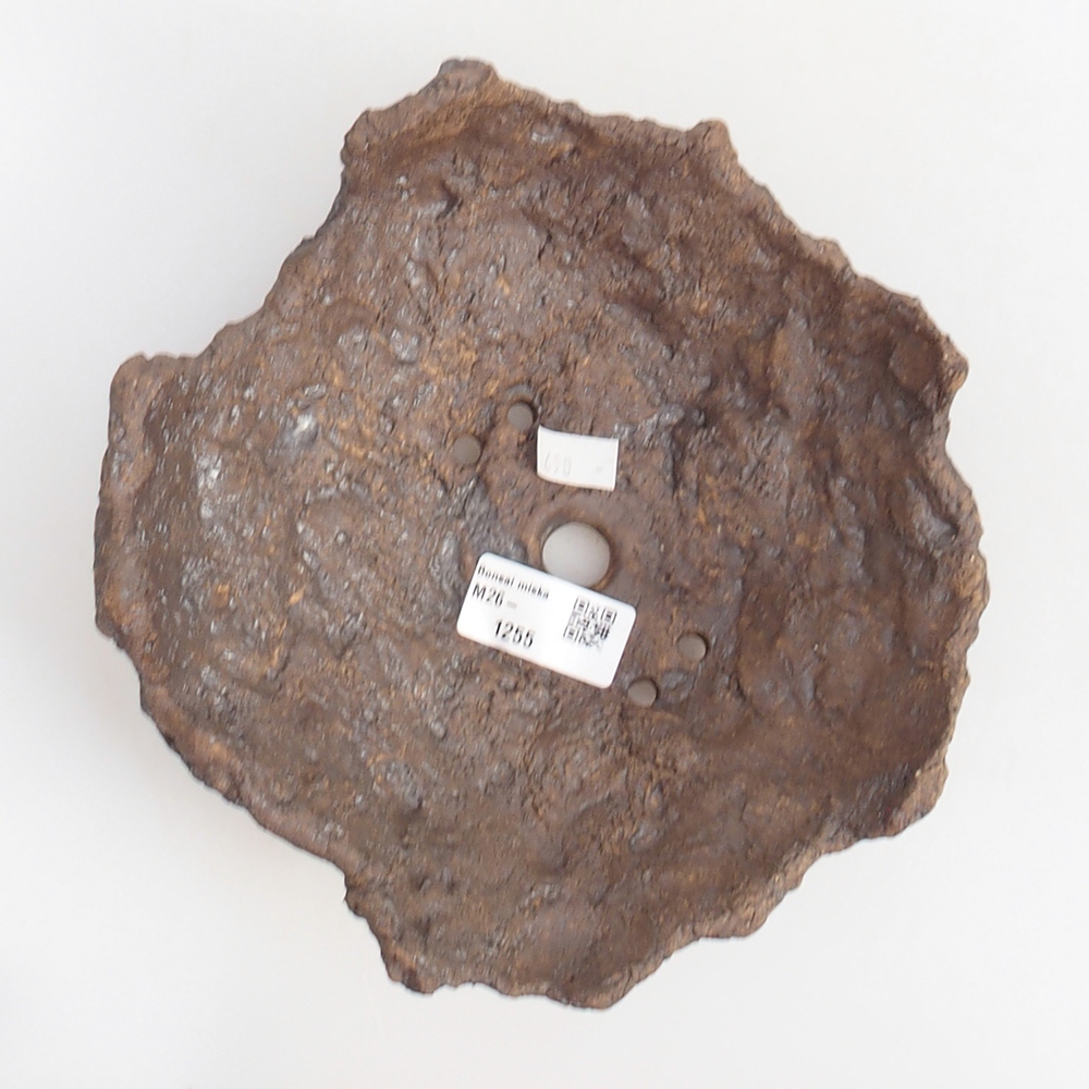 Kerámia kagyló 19 x 15 x 14 cm , barna színű