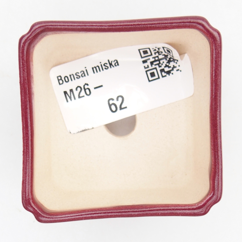 Mini bonsai tál 5 x 5 x 3 cm, bordó színű